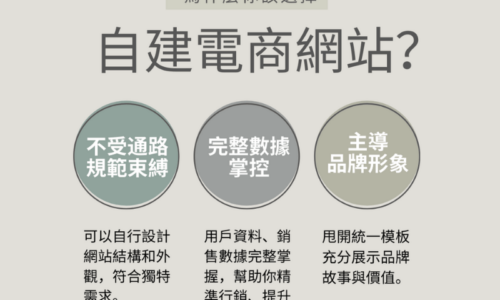 為什麼選擇自建電商網站？