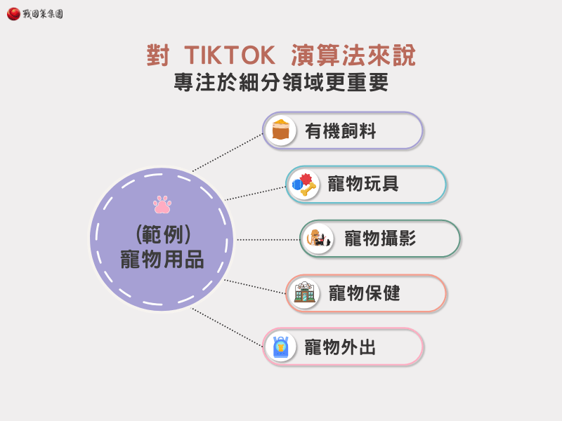 TikTok 演算法更重視相關性、參與度與微觀利基的力量